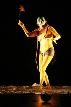 Belo Horizonte, Brasil. Marzo / 2005
5¼ Encuentro Hemisfrico de Performance y Poltica.
Polticas indgenas contemporneas y movikizaciones contemporneas.